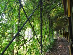 -合肥滨湖国家森林公园