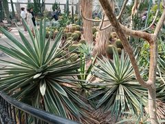 -北京植物园-展览温室