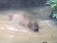 -虎英水上乐园