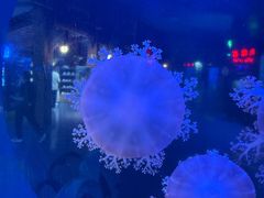 -太平洋海底世界