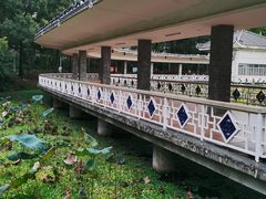 -荔湾湖公园