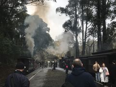-普芬比利蒸汽火车