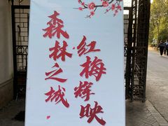 -上海海湾国家森林公园