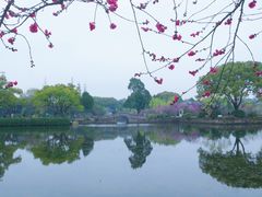 -无锡蠡湖国家湿地公园-蠡园