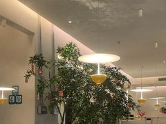 -Aqua Oasis 水天堂(太湖中心mall店)