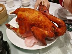 手撕童子鸡-稻香酒家·33年老字号·港式粤菜(富邦中心店)