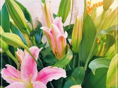 -双季花艺园艺市场(浦东店)