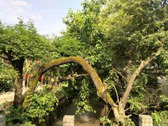-江南第一家