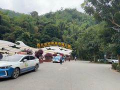 -西双版纳原始森林公园