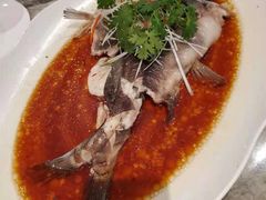 清江肥鱼(清蒸)-亢龙太子酒轩·花园店