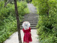 -牛背梁国家森林公园