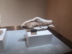 -抱璞文化展示中心