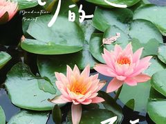 -大宁公园