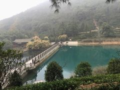 -旺福楼(钱家坞总店)
