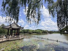 -江心屿景区