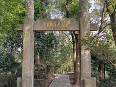 -上海佘山国家森林公园天马山园