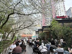 -玛格萝妮比萨屋(四平店)