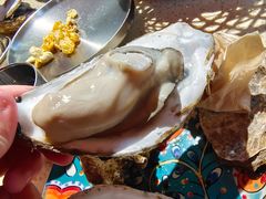 -蚝堡·生蚝海鲜烧烤物种起源•海肠捞饭(刘公岛店)
