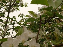 -济南方特东方神画