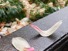 -龙华寺