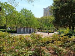 -洛阳市牡丹公园