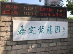 -嘉定紫藤园