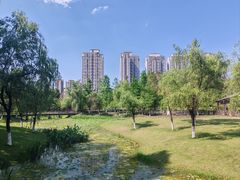 -沐仙湖湿地公园