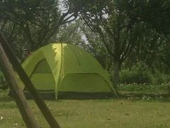 -白塘生态植物园