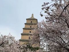 -大慈恩寺(大雁塔)