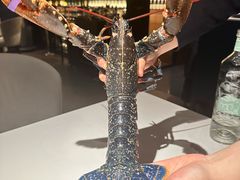 -Oyster Talks 四度蚝法餐厅