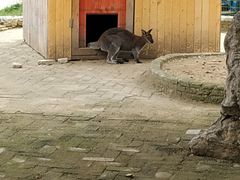 -武汉紫薇都市田园