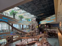 -安徽省地质博物馆