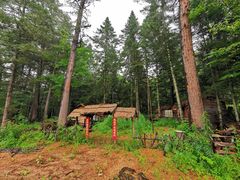 -五营红松林海景区