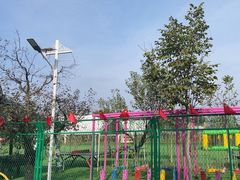 -尚庄度假村·庭台树下·户外烧烤·团建CS·轰趴营地(上庄水库店)