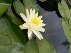 -陶祖圣境风景区