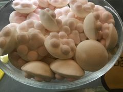 -猫咪博物馆(顶澳仔猫街店)