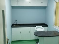 -爱贝特动物医院·猫口炎专科