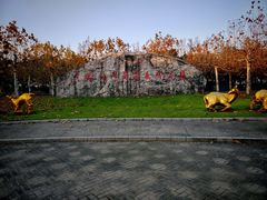 -上海海湾国家森林公园