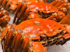 -香港狮子山下·明星粤菜餐厅(北苑店)