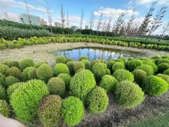 -春花秋色城市公园