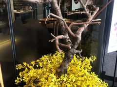 -呷哺呷哺(松江开元店)