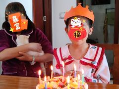 -丽莎蓓甜CAKE生日蛋糕·动物奶油(石家庄店)