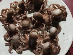 -罗源湾8号渔排