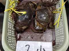 -龙海鲜螃蟹王(宏茂桥店)