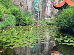-莫干山风景区