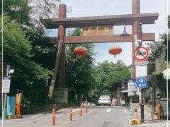 -龙井村