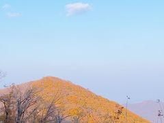 -吉林市朱雀山国家森林公园