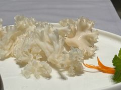 -红鼎豆捞·非遗鲍皇汤火锅(宝丰路店)