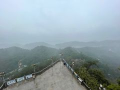 -大金鹰园