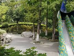 -成飞公园